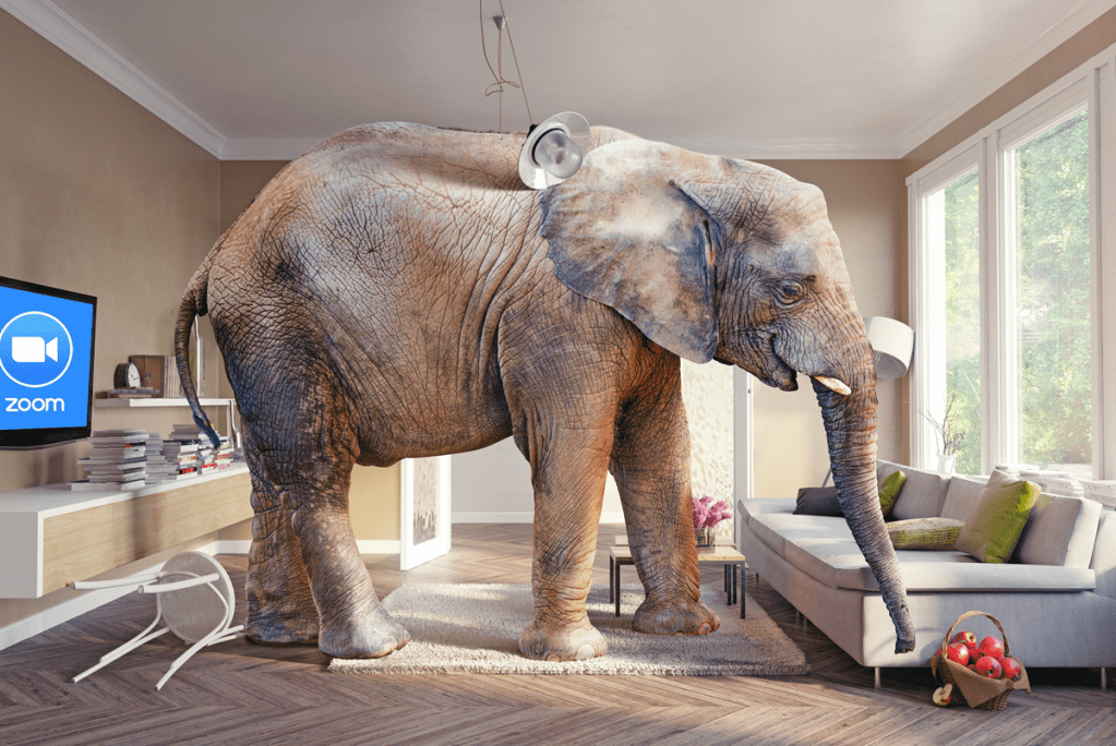 Zoom, Teams, and the Elephant in the (Meeting)&nbsp;Room